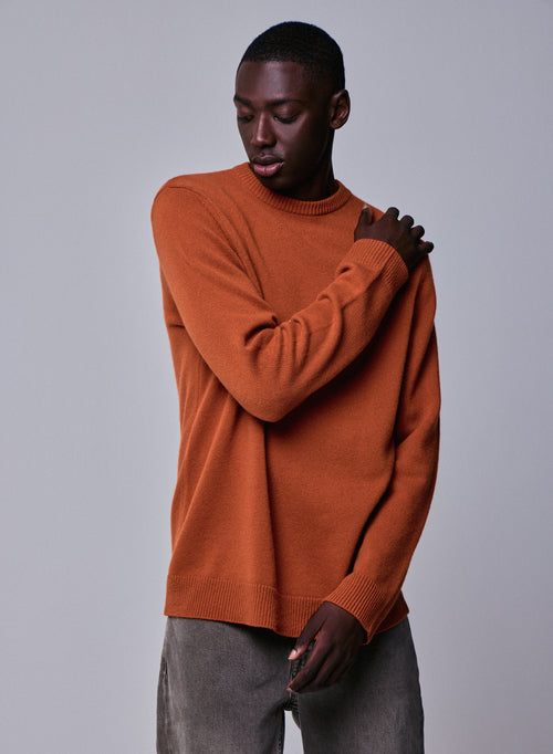 Jersey marrón de manga larga con cuello redondo en lana merino - MAJESTIC FILATURES