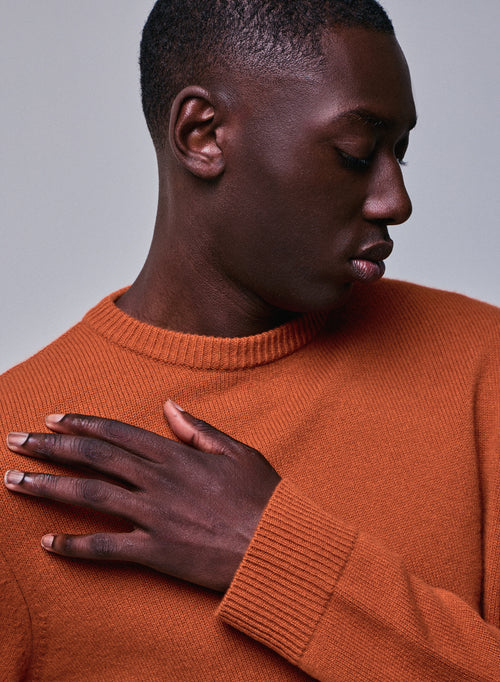 Jersey marrón de manga larga con cuello redondo en lana merino - MAJESTIC FILATURES