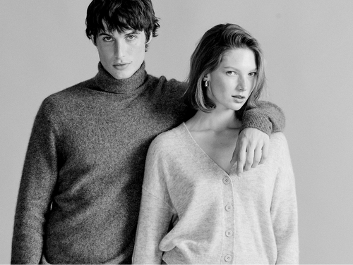 Nouveautés - MAJESTIC FILATURES